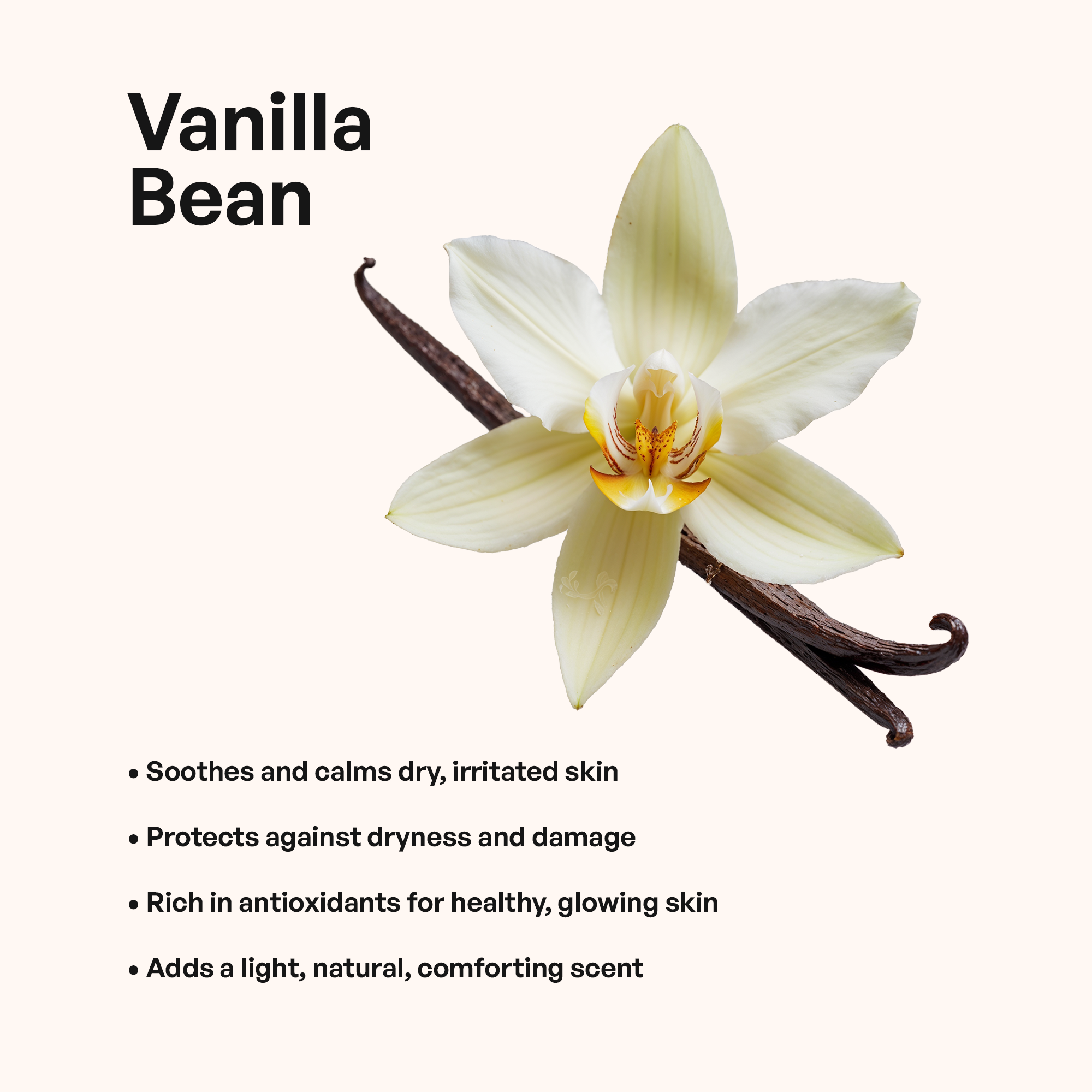 Whipped Grass-Fed Tallow Balm with Vanilla Bean BeautyBoss